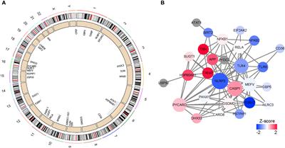 Investigating regulatory patterns of NLRP3 Inflammasome features and association with immune microenvironment in Crohn’s disease